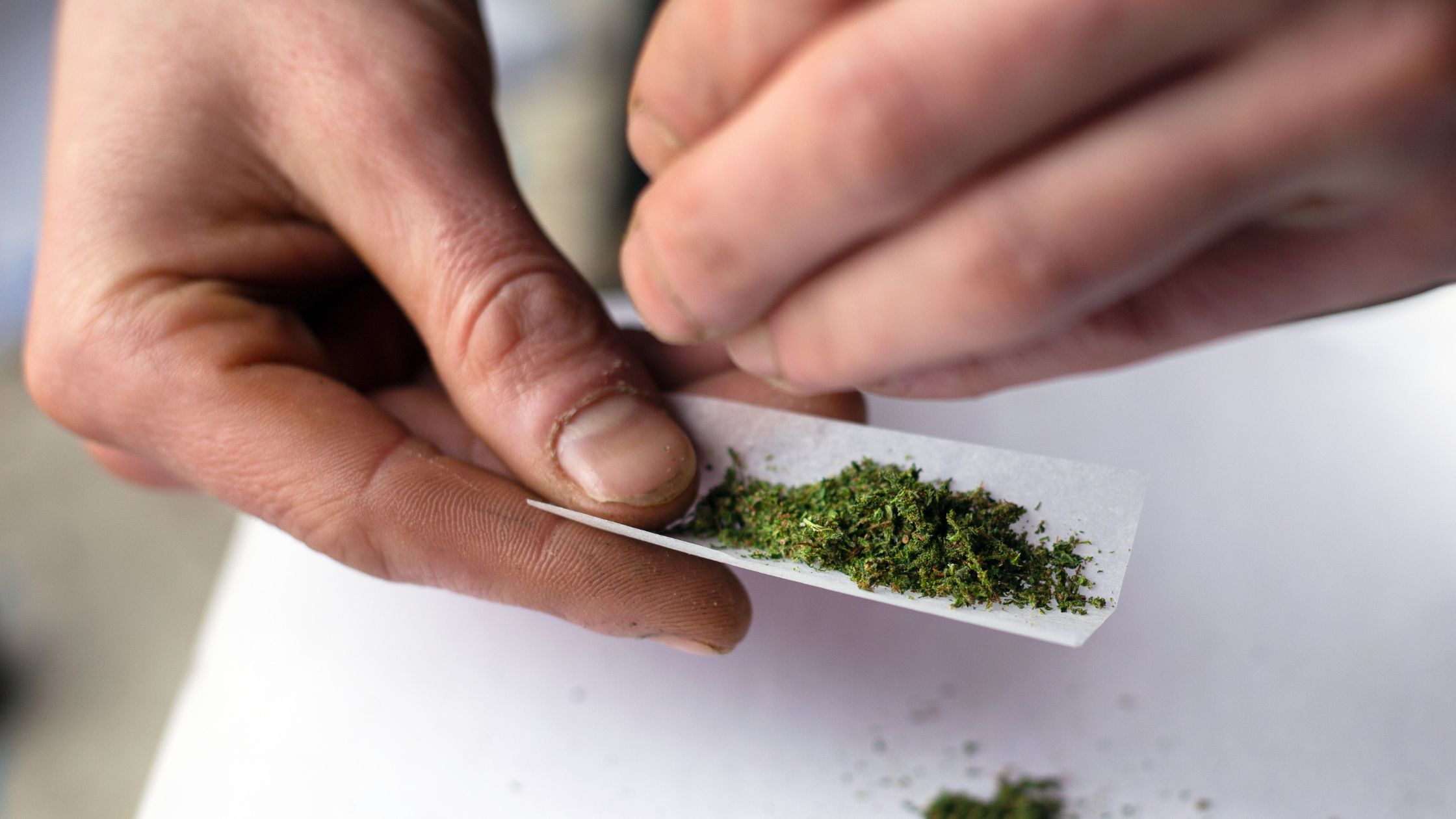 closeup of a person rolling a joint