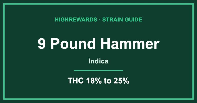 9 pound hammer strain cover