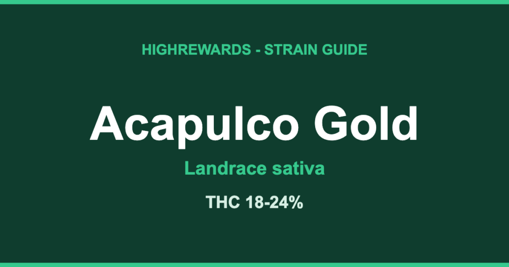 Acapulco Gold strain guide by HighRewards, landrace sativa, THC 18-24%