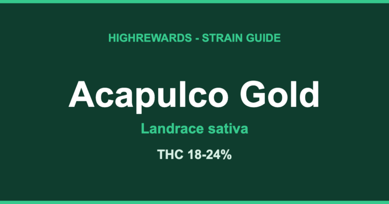 Acapulco Gold strain guide by HighRewards, landrace sativa, THC 18-24%
