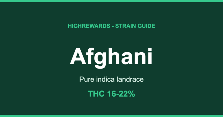 Afghani cannabis strain guide cover