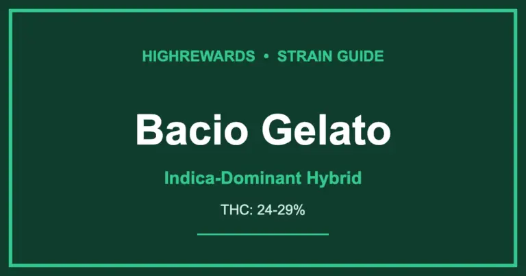 bacio gelato strain cover