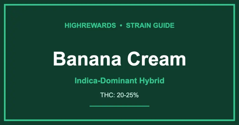 banana cream strain cover