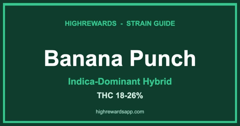 banana punch strain cover