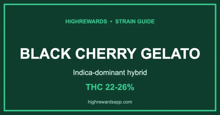 black cherry gelato strain cover