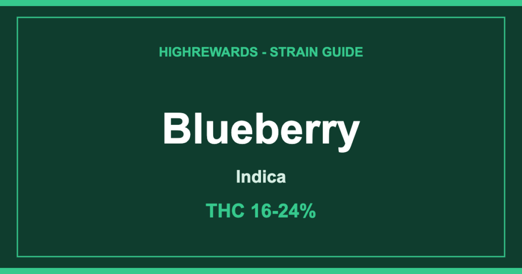 Blueberry cannabis strain guide cover by HighRewards