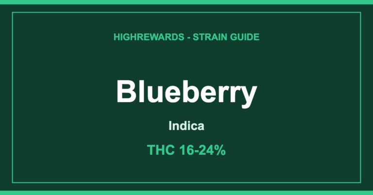 Blueberry cannabis strain guide cover by HighRewards