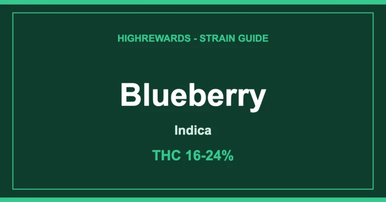 Blueberry cannabis strain guide cover by HighRewards
