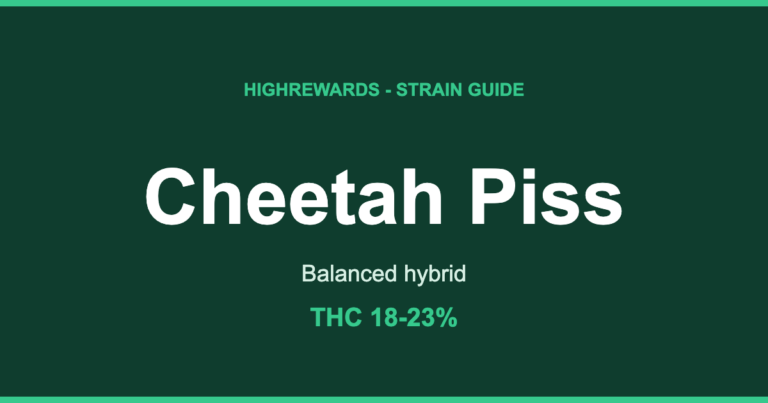 Cheetah Piss strain branded cover image