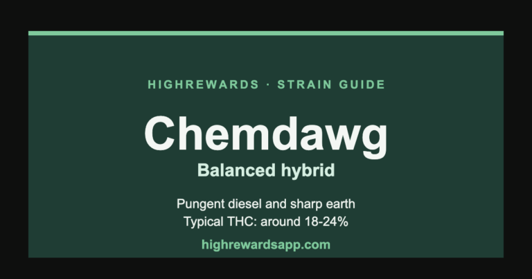 Chemdawg cannabis strain guide cover — Hybrid, pungent diesel and sharp earth