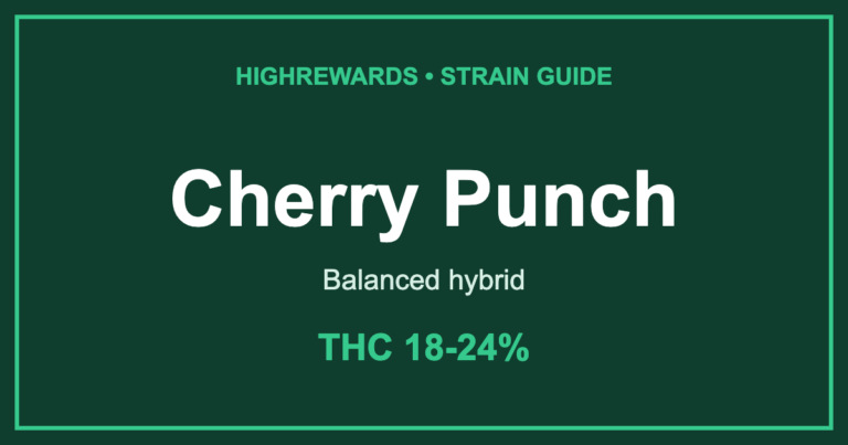 cherry punch strain cover