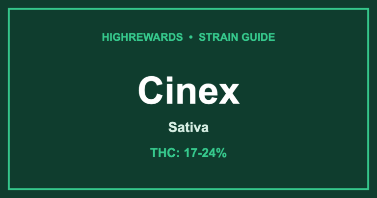 cinex strain cover