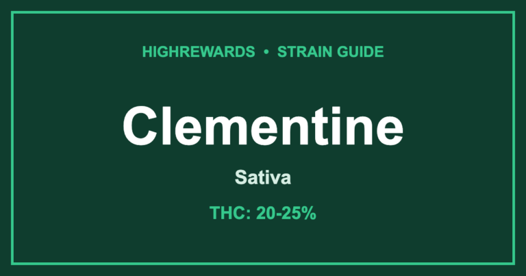 clementine strain cover