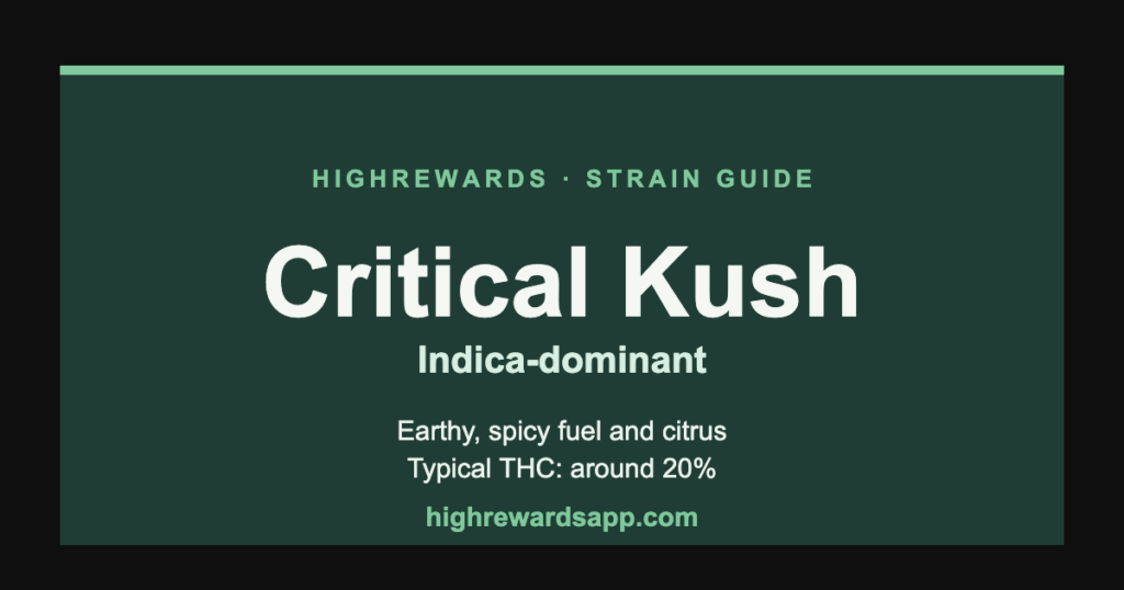 Critical Kush cannabis strain guide cover — Indica, earthy, spicy fuel and citrus
