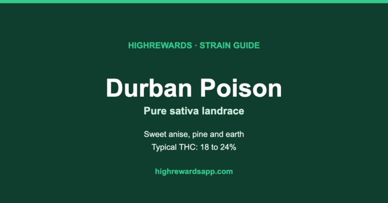 Durban Poison cannabis strain guide cover from HighRewards