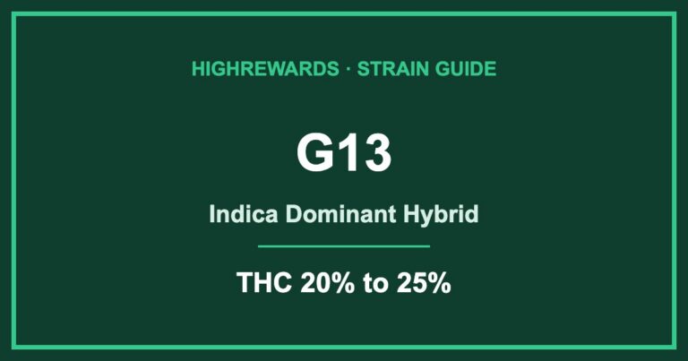 g13 strain cover