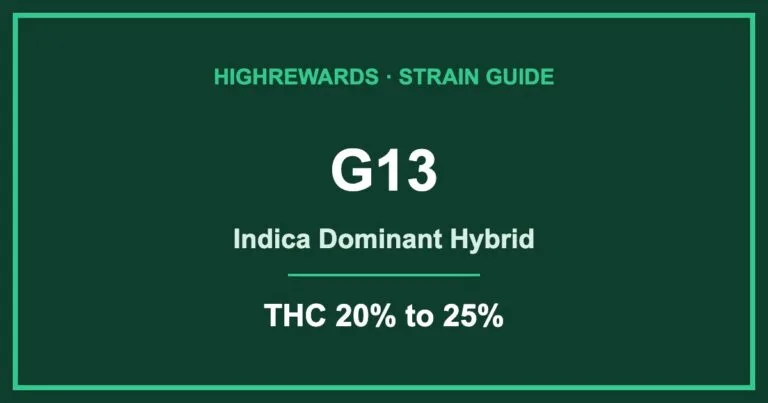 g13 strain cover