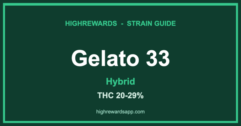 gelato 33 strain cover