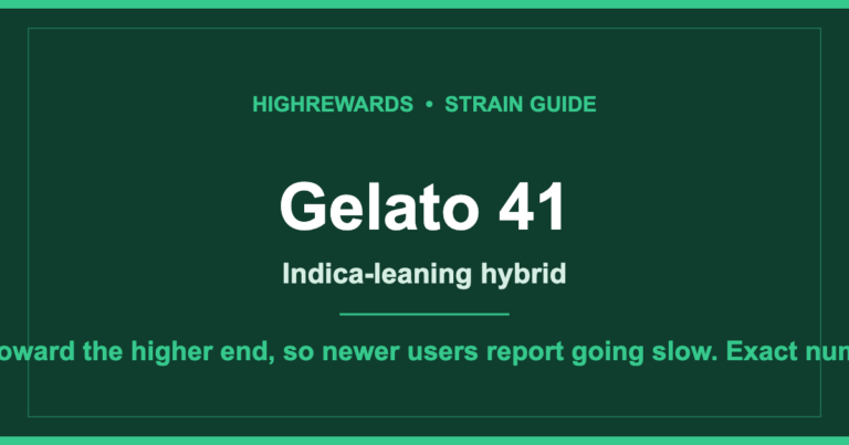 Gelato 41 cannabis strain guide cover