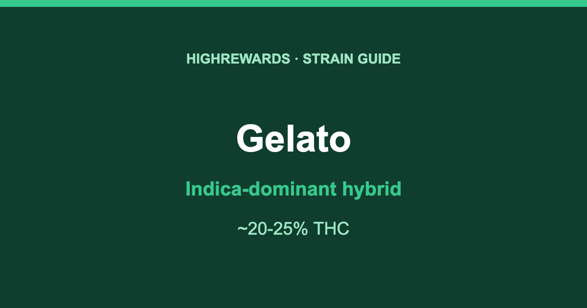 Gelato Indica-dominant hybrid cannabis strain guide, HighRewards