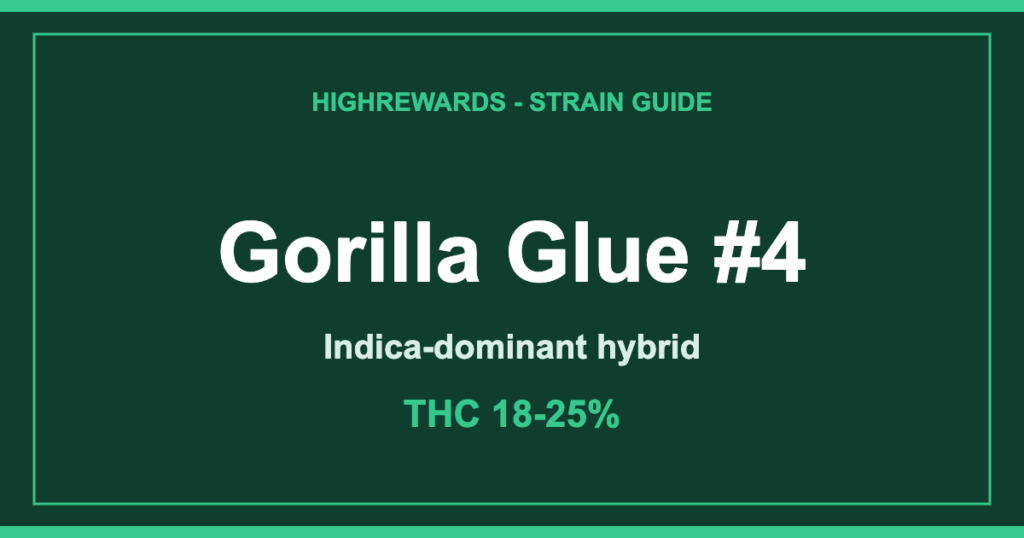 Gorilla Glue #4 cannabis strain guide cover by HighRewards