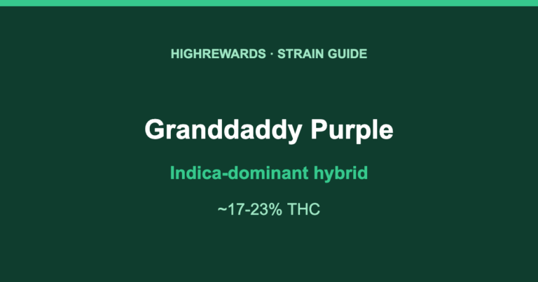 Granddaddy Purple Indica-dominant hybrid cannabis strain guide, HighRewards