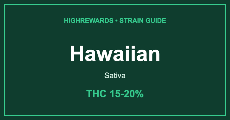 hawaiian strain cover