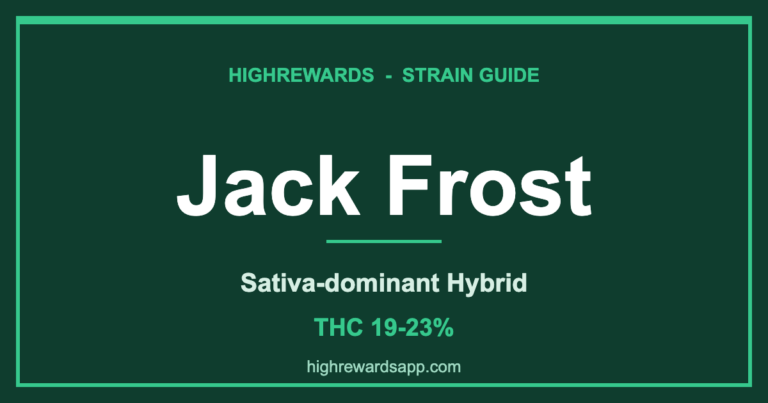Jack Frost strain branded cover - Sativa-dominant Hybrid, THC 19-23%