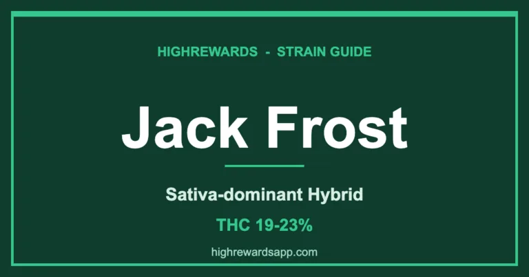 Jack Frost strain branded cover - Sativa-dominant Hybrid, THC 19-23%