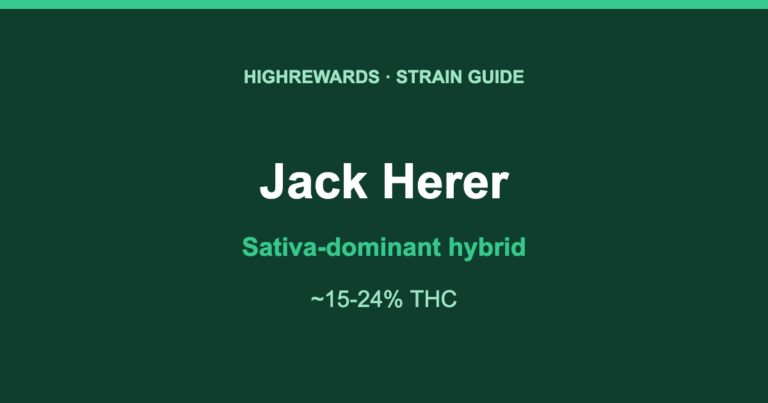 Jack Herer Sativa-dominant hybrid cannabis strain guide, HighRewards