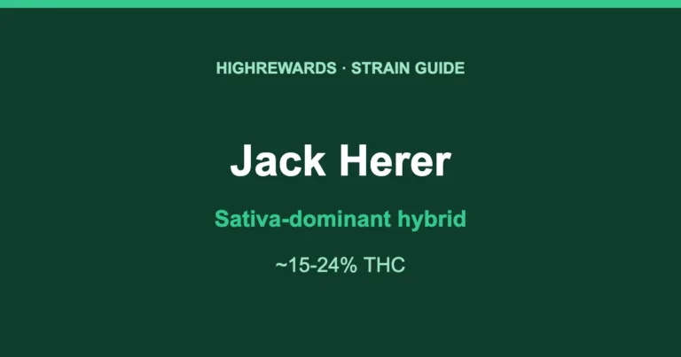 Jack Herer Sativa-dominant hybrid cannabis strain guide, HighRewards
