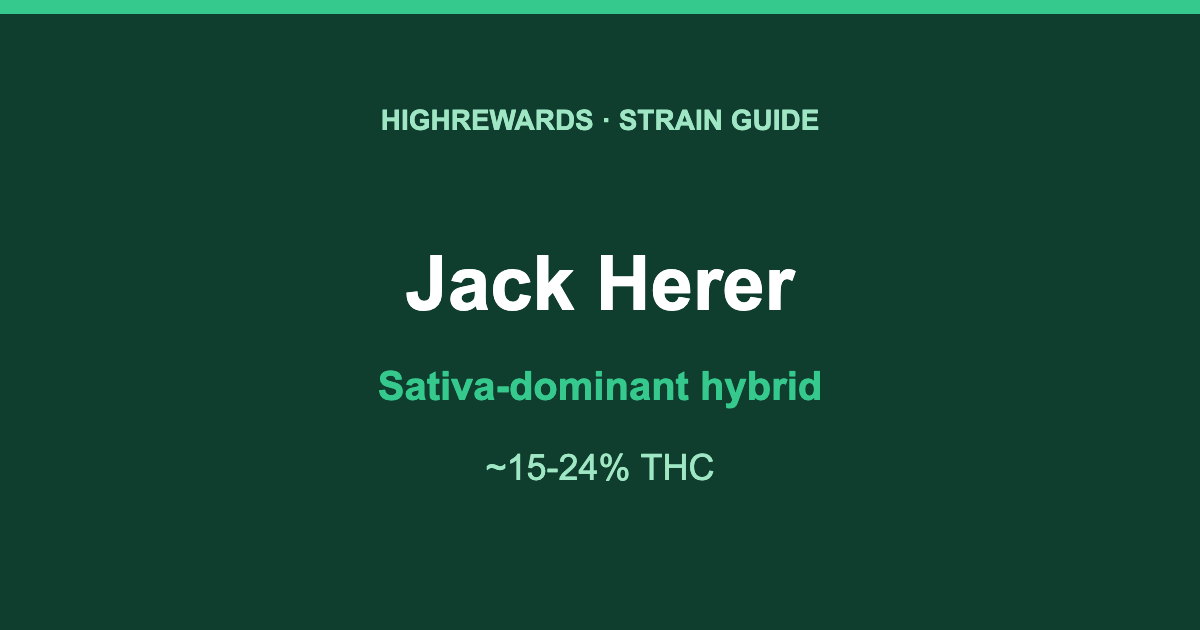 Jack Herer Sativa-dominant hybrid cannabis strain guide, HighRewards