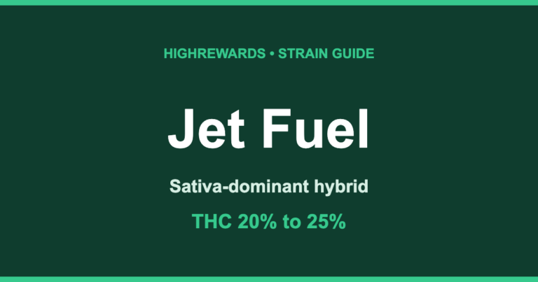 Jet Fuel cannabis strain cover, Sativa-dominant hybrid