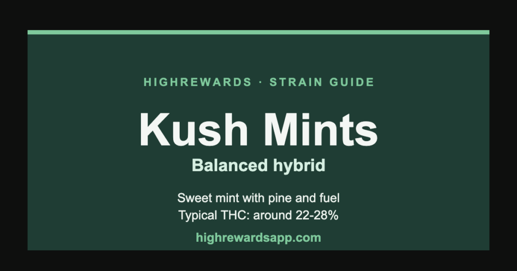 Kush Mints cannabis strain guide cover — Hybrid, sweet mint with pine and fuel