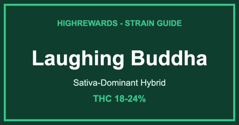 laughing buddha strain cover