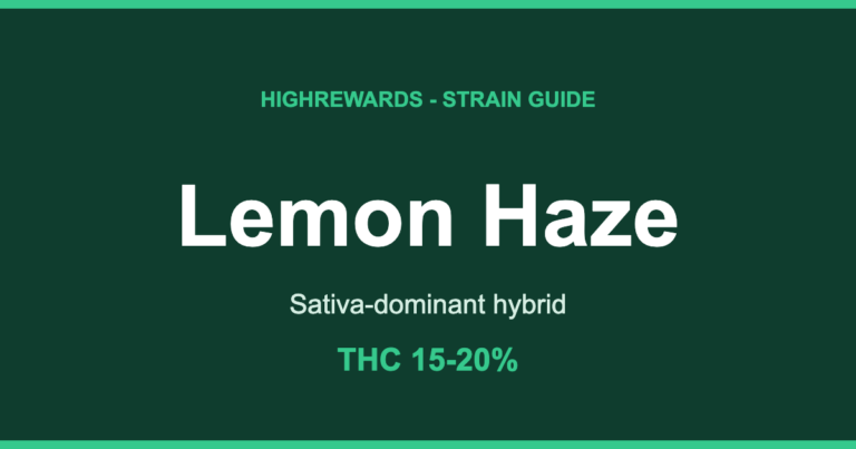 Lemon Haze cannabis strain guide cover