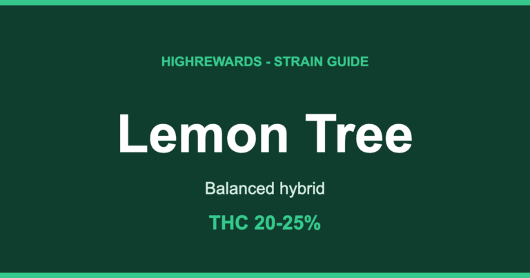 Lemon Tree cannabis strain guide cover