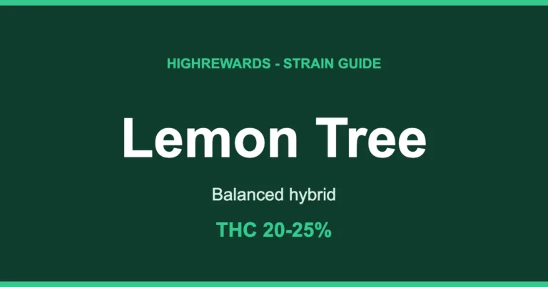 Lemon Tree cannabis strain guide cover