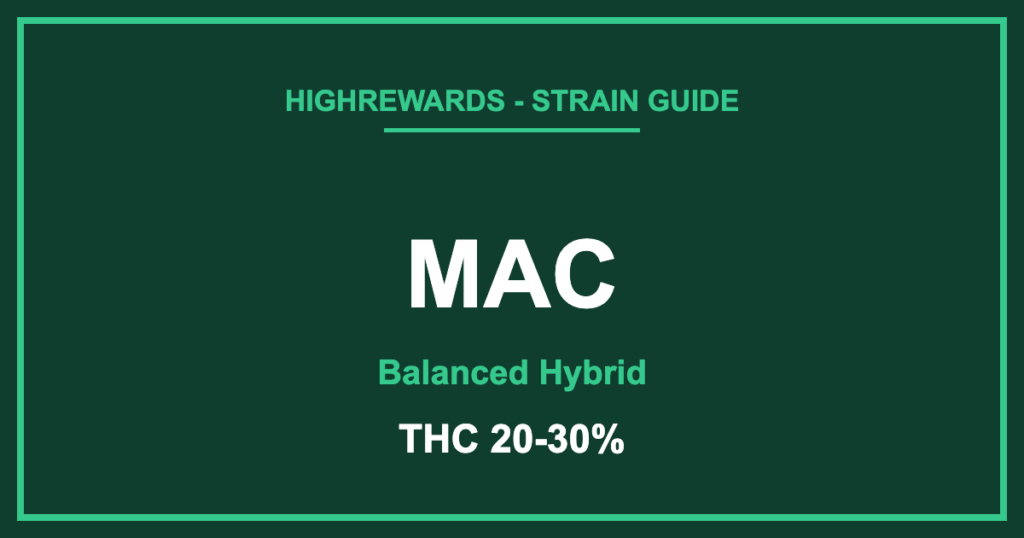 MAC strain branded cover, Balanced Hybrid, THC 20-30%