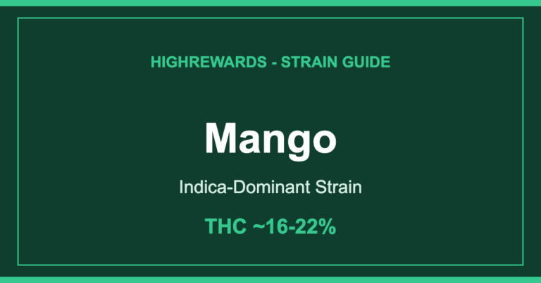 Mango cannabis strain branded cover image