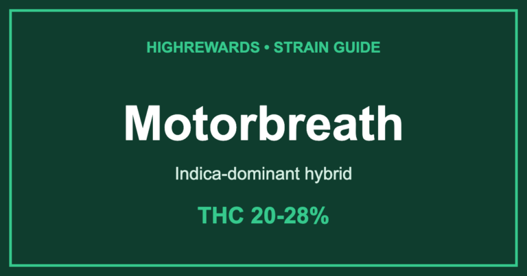 motorbreath strain cover
