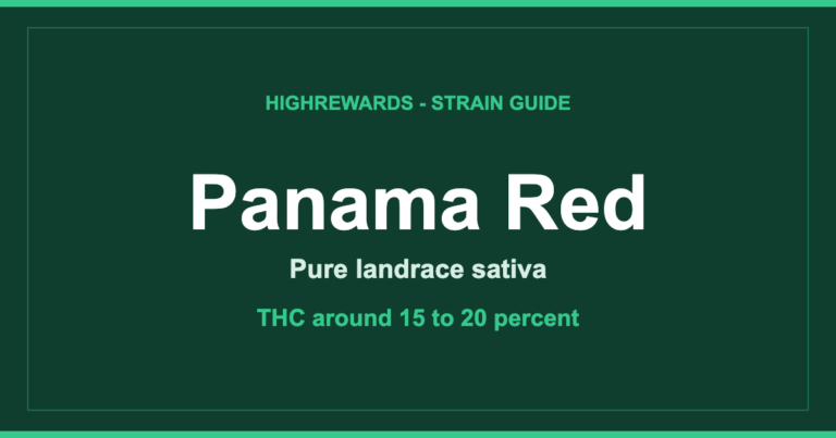 Panama Red strain branded cover, Pure landrace sativa