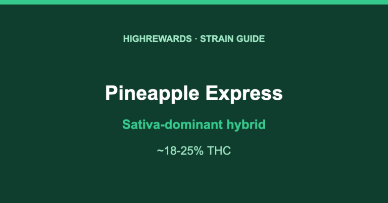 Pineapple Express Sativa-dominant hybrid cannabis strain guide, HighRewards