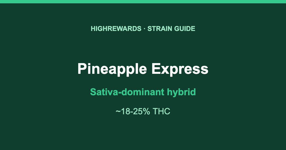 Pineapple Express Sativa-dominant hybrid cannabis strain guide, HighRewards