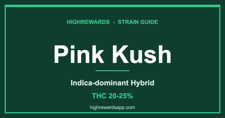 Pink Kush strain branded cover - Indica-dominant Hybrid, THC 20-25%