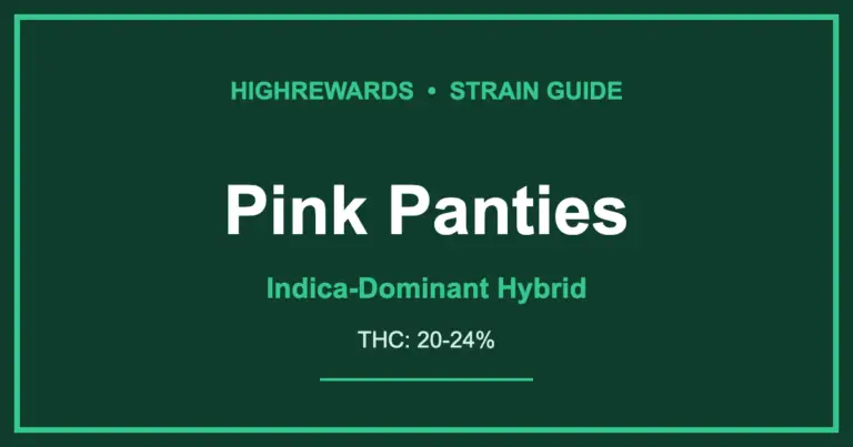 pink panties strain cover