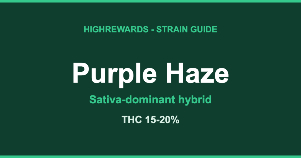 Purple Haze strain guide by HighRewards, sativa-dominant hybrid, THC 15-20%