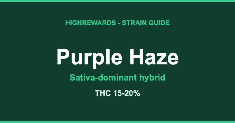 Purple Haze strain guide by HighRewards, sativa-dominant hybrid, THC 15-20%