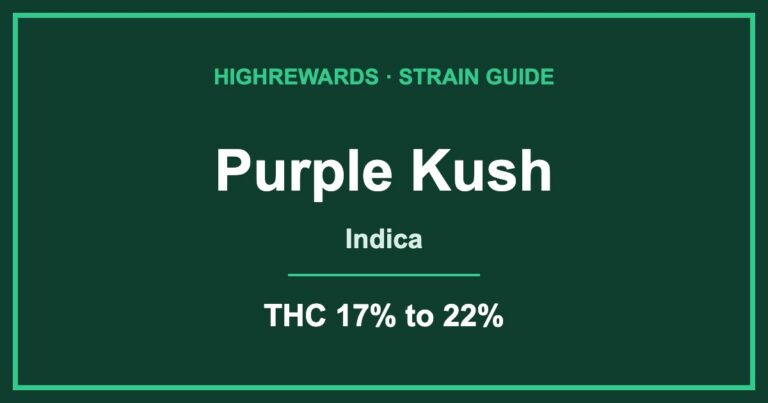 purple kush strain cover