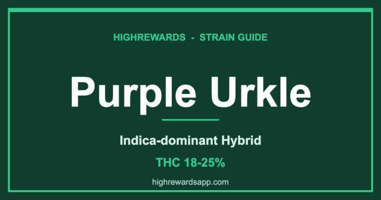 Purple Urkle strain branded cover - Indica-dominant Hybrid, THC 18-25%